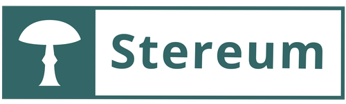 Stereum